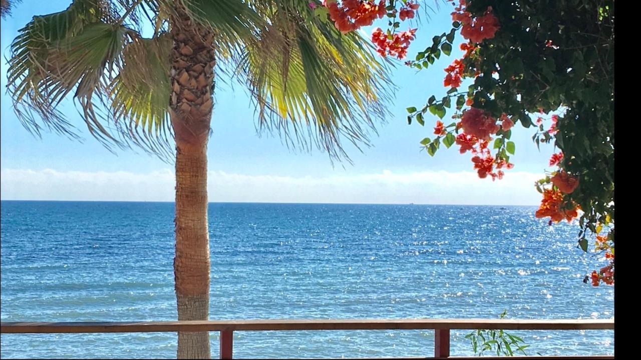 Mi Capricho Beachfront- 3-7 Apartment With Sea Views Sitio de Calahonda Εξωτερικό φωτογραφία